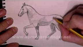How to draw a trotting horse with pencil - Things to Draw