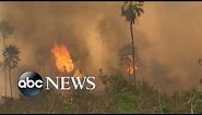 Amazon rainforest on fire: ‘Lungs of the world’ in flames l Nightline