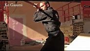All the basic Sword stances - Japanese sword, Katana - AKBAN wiki