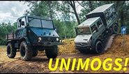 All about Unimogs - old and new 'Mogs driven