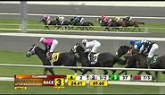 Meadowlands October 31, 2014 - Race 3 - Unmarked Bills