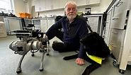 Meet Robbie, the walking talking robot guide dog