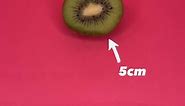 The stages of cervical dilation | A guide with fruit