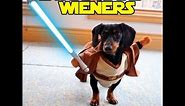 Star Wars Wieners - Crusoe the Dachshund Plays Star Wars