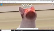 How to get millions of pop clicks in Popcat.click in seconds!