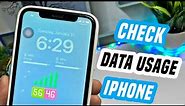 How To Check Data Usage in iPhone | how To See Data Usage in iPhone |