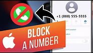 How to Block Text Messages on an iPhone | Block a Number from Calling & Texting