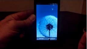 Galaxy S 3 Dandelion Live Wallpaper In Play Store