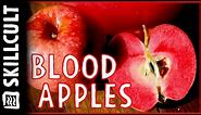 Etter's Blood Apples, Unique, Beautiful, Tasty, Red Flesh w/ Red Flavor, Grenadine, Rubaiyat,