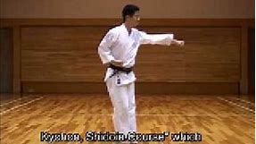 Tadahiko Otsuka GOJU-RYU Okinawa Karate Kata #4