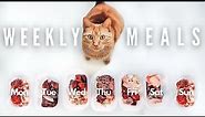What My Raw Fed Cat Eats In A Week