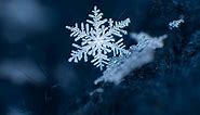 What's the Largest Snowflake on Record?