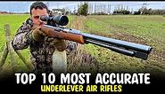 Top 10 Most Accurate Underlever Air Rifles - Best Air Rifle for Small Game Hunting