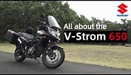 Everything You Need to Know: Suzuki V Strom 650