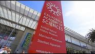 Building of Wonders | California Academy of Sciences