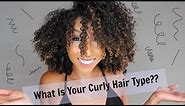 What Is Your Curly Hair Type?? 2A, 3B, 4C? | BiancaReneeToday