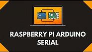 Serial Communication between Raspberry Pi and Arduino [1H Complete Tutorial]