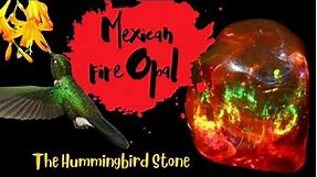 Mexican Fire Opal -The Hummingbird Stone