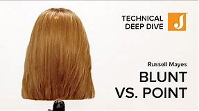 Point Cutting vs. Blunt Cutting: A Technical Deep Dive Hair Tutorial