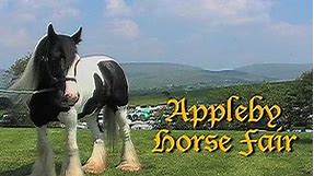 APPLEBY GYPSY HORSE FAIR