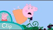 The Blackberry Bush 🫐 | Peppa Pig Official Clip