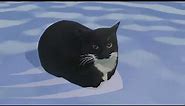 weebls stockmarket 3d (floating cat on water)