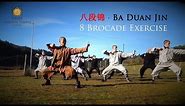 八段锦 · Ba Duan Jin (8 Brocade Exercise) Qi Gong