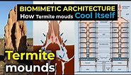 How Termite mounds Cool Itself | Biomemetic architecture: Zimbabwe Eastgate center