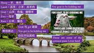 I teach English puns to Chinese people1. Can you learn Chinese by watching this video?