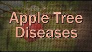 Apple Tree Diseases – Family Plot