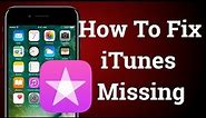 How To Fix iTunes Store Missing On iPhone How To Get Back iTunes Store