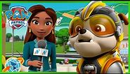 Mighty Pups stop Ladybird and save Mayor Goodway! - PAW Patrol - Cartoons for Kids Compilation