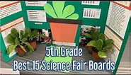 1st Place Best Chosen Science Fair Projects for 5th Grade - STEM Activities