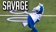 NFL Funniest Mascot Moments || HD