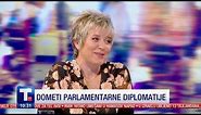 Dometi parlamentarne diplomatije - Elvira Kovač • TANJUG. LIČNO.
