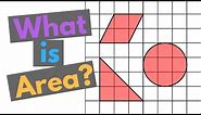 What is Area?