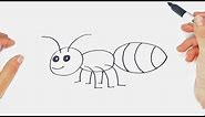 How to draw an Insect Step By Step