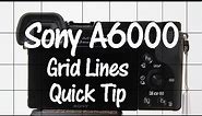 Sony A6000 and A6300 Quick Tip - Grid Lines