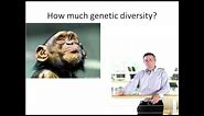Race and Genetics | Dr Allen Gathman | TEDxSoutheastMissouriStateUniversity