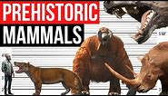 Largest Prehistoric Land Mammals | Size Comparison