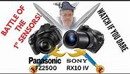 Sony RX10IV vs Panasonic FZ2500- The best superzoom is.......