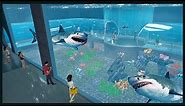 Building a Massive Shark Aquarium - Aquarist