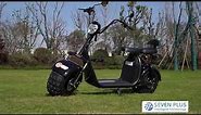 Electric scooter with 3000w 2000w powerful two fat wheel citycoco