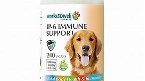 I-P6 Immune Support