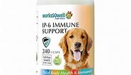 I-P6 Immune Support