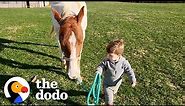 Horse Comes Running When Little Boy Calls Her Name | The Dodo Soulmates