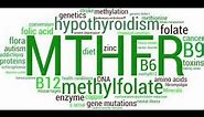Mthfr gene mutation homozygous c677t treatment supplement pregnancy prenatal