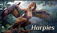 Harpies : The Mythical Bird Women Monsters of Greek Mythology | Greek Mythology
