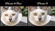 iPhone 8 vs iPhone 8 Plus Camera Test (Best Smartphone Camera)