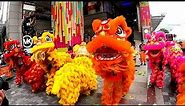 Chinese New Year 2020 Lion Dance - Hong Kong